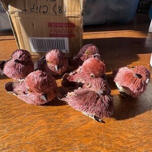 Set of 8 Harvest Sisal Bird Clips by Valerie